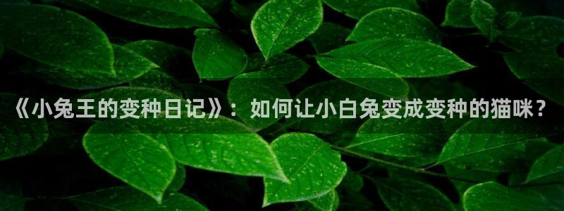 虫虫漫画羞羞：《小兔王的变种日记》：如何让小白兔变成变种的猫咪？